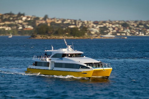 Sydney Whale-Watching Cruise - New South Wales Tourism  1