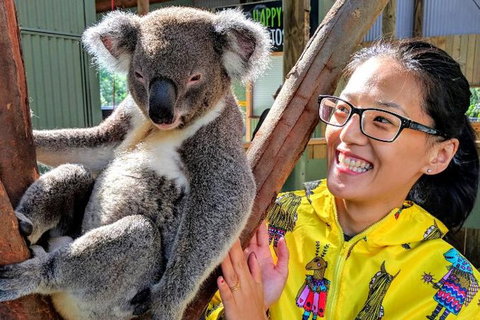 Wildlife Waterfalls And Wine Day Tour From Sydney - New South Wales Tourism  2