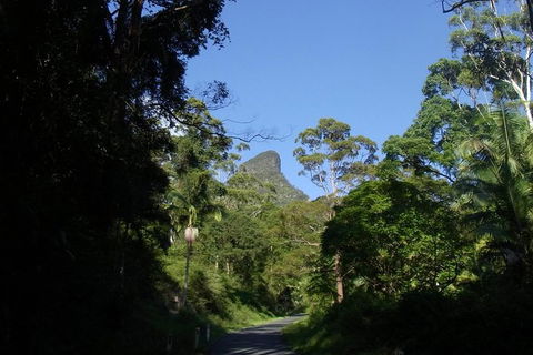Mount Warning Day Trip From Byron Bay Including BBQ Lunch - New South Wales Tourism  6