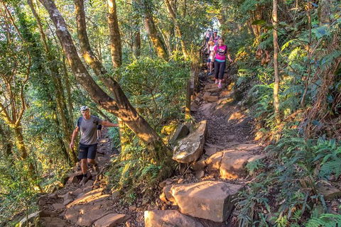 Mount Warning Day Trip From Byron Bay Including BBQ Lunch - New South Wales Tourism  11