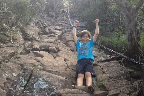 Mount Warning Day Trip From Byron Bay Including BBQ Lunch - New South Wales Tourism  8
