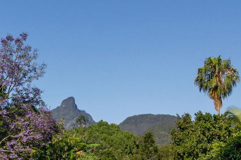Mount Warning Day Trip From Byron Bay Including BBQ Lunch - New South Wales Tourism  3