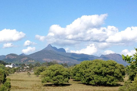 Mount Warning Day Trip From Byron Bay Including BBQ Lunch - New South Wales Tourism  7