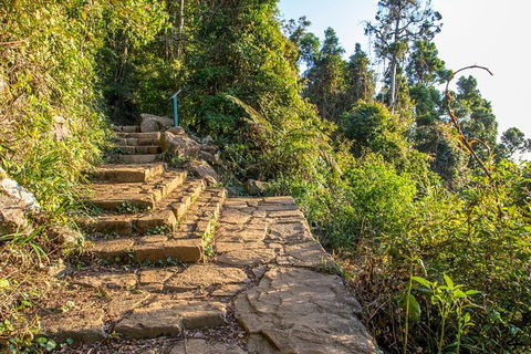 Mount Warning Day Trip From Byron Bay Including BBQ Lunch - New South Wales Tourism  10