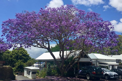 Byron Bay And Beyond Tour Including Cape Bryon Lighthouse Crystal Castle And Bangalow - New South Wales Tourism  3