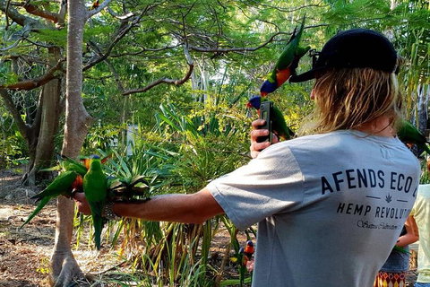 Stray Australia: Byron Bay To Cairns - Freestyle Tour - New South Wales Tourism  1