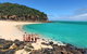 Stray Australia: Byron Bay To Cairns - Freestyle Tour - thumb 0