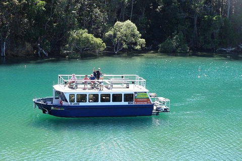 Brunswick Heads Rainforest Eco-Cruise - New South Wales Tourism  0