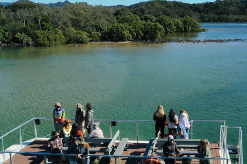 Brunswick Heads Rainforest Eco-Cruise - New South Wales Tourism  8