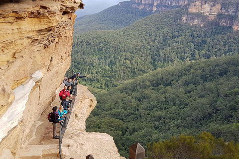 Hike Into The Wild Blue Mountains - New South Wales Tourism  0