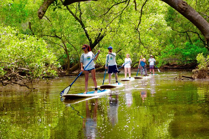  New South Wales Tourism 