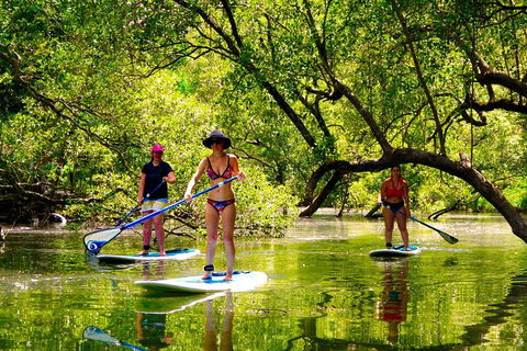 Byron Stand Up Paddle Nature Tour - New South Wales Tourism  4