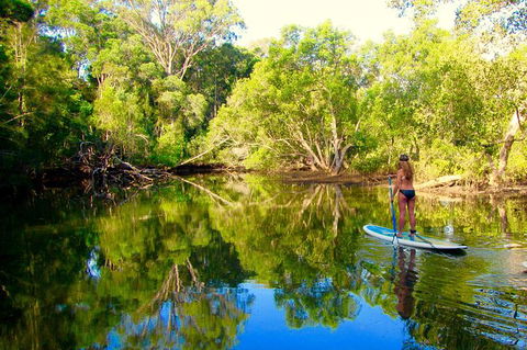 Byron Stand Up Paddle Nature Tour - New South Wales Tourism  3