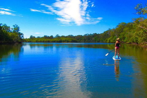 Byron Stand Up Paddle Nature Tour - New South Wales Tourism  5