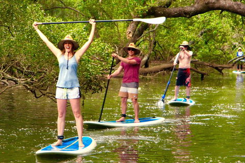 Byron Stand Up Paddle Nature Tour - New South Wales Tourism  7
