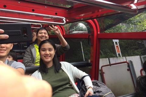 All-Day Blue Mountains Private Tour With Professional Guide For Up To 4 People - New South Wales Tourism  15