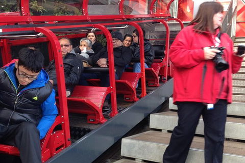 All-Day Blue Mountains Private Tour With Professional Guide For Up To 4 People - New South Wales Tourism  8