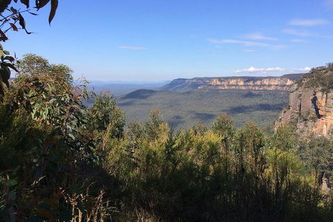 All-Day Blue Mountains Private Tour With Professional Guide For Up To 4 People - New South Wales Tourism  4