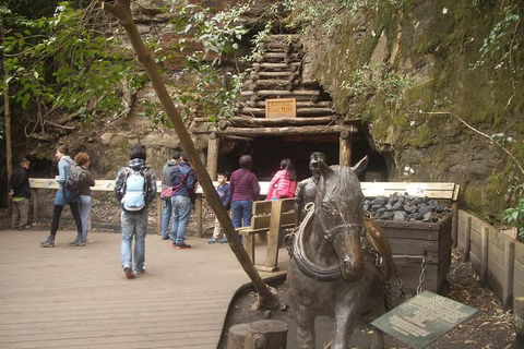 All-Day Blue Mountains Private Tour With Professional Guide For Up To 4 People - New South Wales Tourism  9