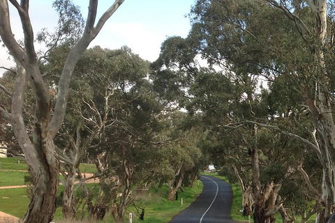 All-Day Blue Mountains Private Tour With Professional Guide For Up To 4 People - New South Wales Tourism  22
