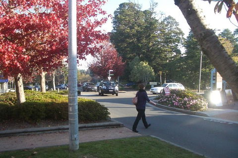 All-Day Blue Mountains Private Tour With Professional Guide For Up To 4 People - New South Wales Tourism  12