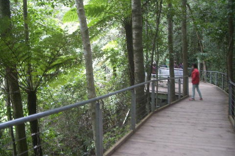 All-Day Blue Mountains Private Tour With Professional Guide For Up To 4 People - New South Wales Tourism  20