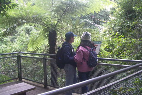 All-Day Blue Mountains Private Tour With Professional Guide For Up To 4 People - New South Wales Tourism  19