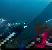 5-Hour Byron Bay Introductory Scuba Diving Tour - New South Wales Tourism 