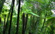 Private Tour: Blue Mountains Day Trip From Sydney - thumb 3