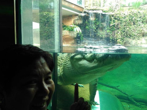 Sydney Attraction Pass Including Taronga Zoo, Sydney Opera House, SEA LIFE Sydney Aquarium - New South Wales Tourism  16