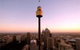 Sydney Attraction Pass Including Taronga Zoo, Sydney Opera House, SEA LIFE Sydney Aquarium - thumb 1