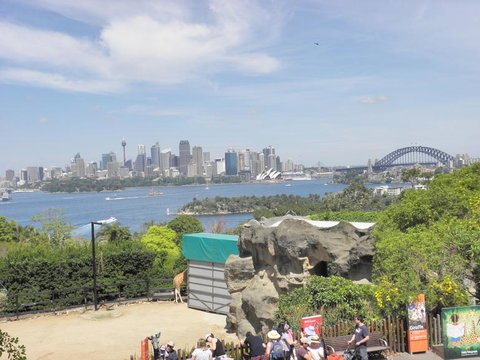 Sydney Attraction Pass Including Taronga Zoo, Sydney Opera House, SEA LIFE Sydney Aquarium - New South Wales Tourism  6