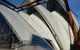 Sydney Attraction Pass Including Taronga Zoo, Sydney Opera House, SEA LIFE Sydney Aquarium - thumb 24