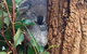 Sydney Attraction Pass Including Taronga Zoo, Sydney Opera House, SEA LIFE Sydney Aquarium - thumb 20