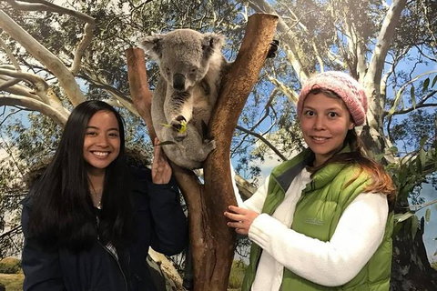 Sydney Attraction Pass Including Taronga Zoo, Sydney Opera House, SEA LIFE Sydney Aquarium - New South Wales Tourism  29
