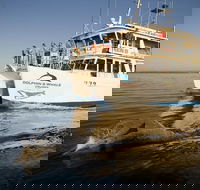 Jervis Bay Dolphin Watch Cruise - New South Wales Tourism 