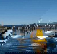 Batemans Bay Oyster Tasting Kayak Tour - New South Wales Tourism 