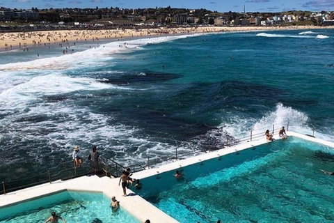 Private Sydney City To Bondi Coast Tour With Waterfront Lunch - New South Wales Tourism  2
