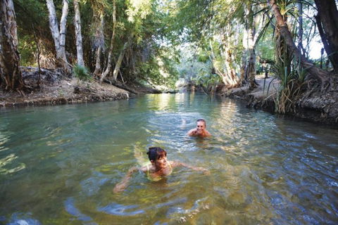 14 Day Dinos, Crocs And Gold - New South Wales Tourism  6