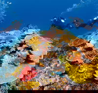 Agincourt Reef - New South Wales Tourism 