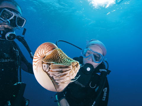 Agincourt Reef - New South Wales Tourism  1