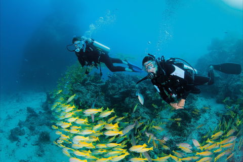 Agincourt Reef - New South Wales Tourism  2