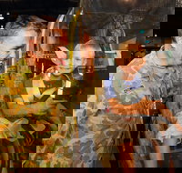 Australian Army Flying Museum - New South Wales Tourism 