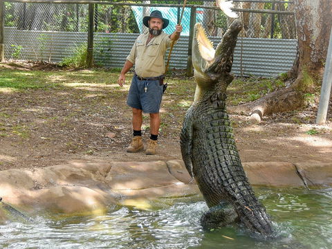 Billabong Sanctuary - New South Wales Tourism  1