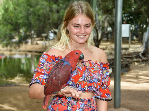 Billabong Sanctuary - New South Wales Tourism  2