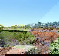 Bladensburg National Park - New South Wales Tourism 