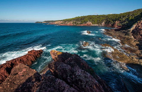 Boyds Tower To Saltwater Creek Walking Track - New South Wales Tourism  0