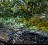 Browns Forest Loop Trail - New South Wales Tourism 