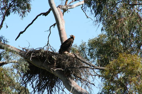 Castle Creek Reserve - New South Wales Tourism  0