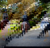 Centennial Stables - New South Wales Tourism 